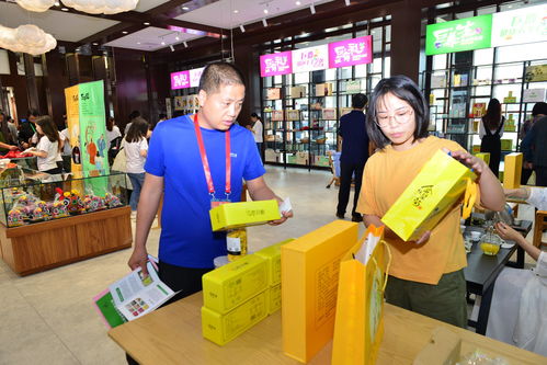 巨鹿新章 禮儀服務助力第二屆旅發大會，繪就全域旅游新畫卷