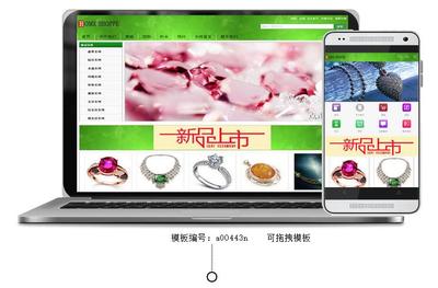高人氣珠寶購物商城網站開發(fā)_高人氣珠寶購物商城網站制作